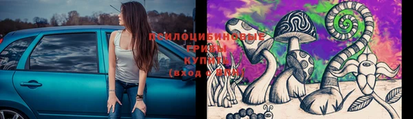 метамфетамин Каменка