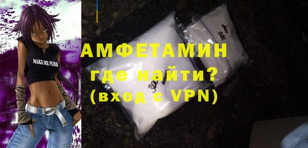стаф Инта