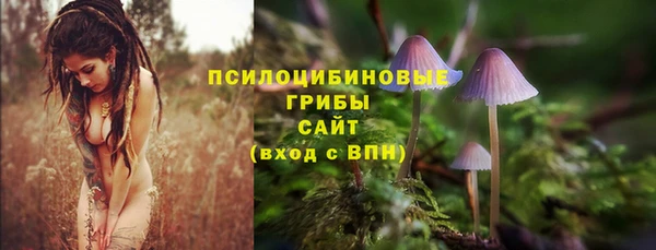 стаф Инта