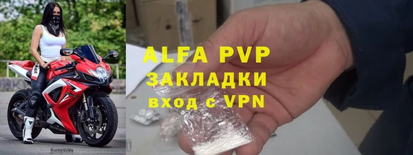 амф Инсар