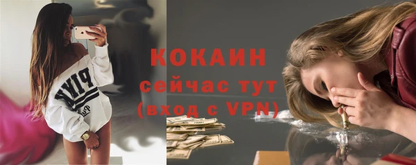 стаф Инта